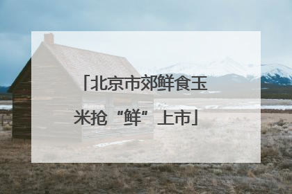 北京市郊鲜食玉米抢“鲜”上市