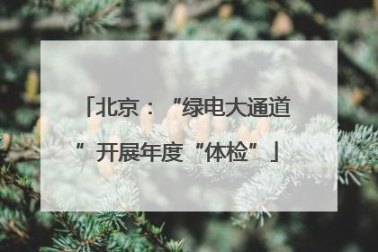 北京：“绿电大通道”开展年度“体检”