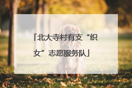 北大寺村有支“织女”志愿服务队