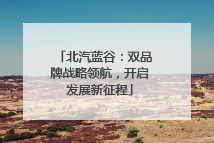 北汽蓝谷：双品牌战略领航，开启发展新征程
