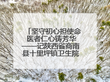 坚守初心担使命 医者仁心铸芳华——记陕西省商南县十里坪镇卫生院副院长贾胡委