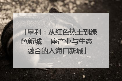 垦利：从红色热土到绿色新城 一座产业与生态融合的入海口新城