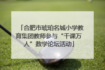 合肥市琥珀名城小学教育集团教师参与“千课万人”数学论坛活动