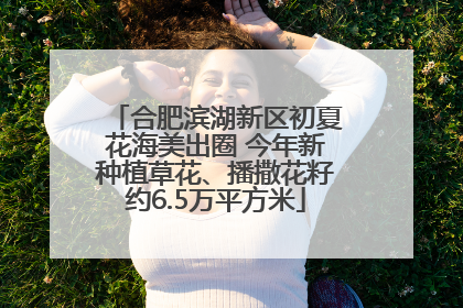 合肥滨湖新区初夏花海美出圈 今年新种植草花、播撒花籽约6.5万平方米