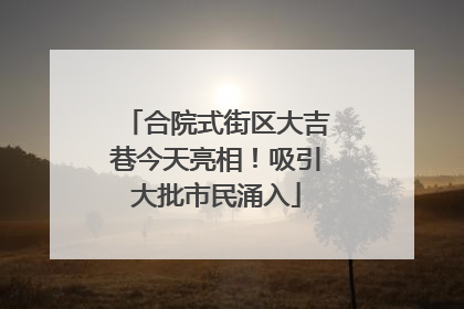 合院式街区大吉巷今天亮相！吸引大批市民涌入
