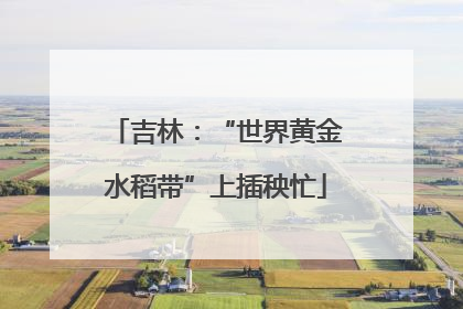 吉林：“世界黄金水稻带”上插秧忙