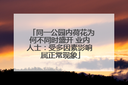 同一公园内荷花为何不同时盛开 业内人士：受多因素影响 属正常现象