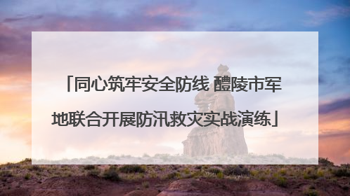 同心筑牢安全防线 醴陵市军地联合开展防汛救灾实战演练