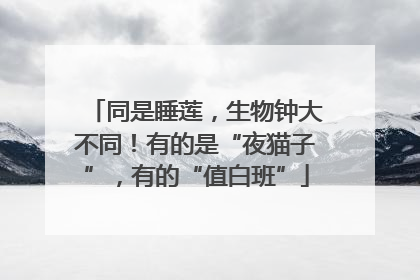 同是睡莲，生物钟大不同！有的是“夜猫子”，有的“值白班”