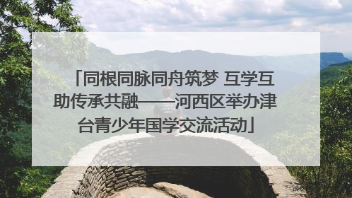 同根同脉同舟筑梦 互学互助传承共融——河西区举办津台青少年国学交流活动