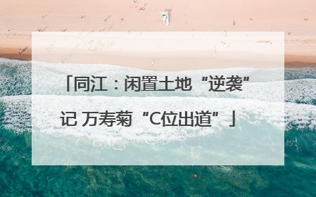 同江：闲置土地“逆袭”记 万寿菊“C位出道”