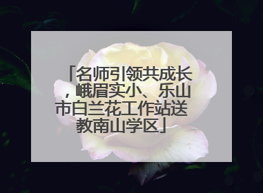 名师引领共成长，峨眉实小、乐山市白兰花工作站送教南山学区
