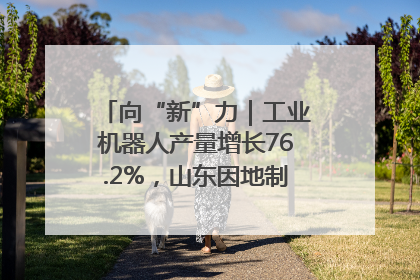向“新”力｜工业机器人产量增长76.2%，山东因地制宜发展新质生产力
