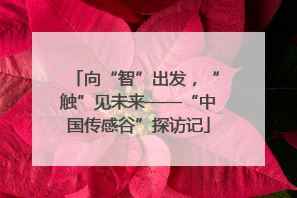 向“智”出发，“触”见未来——“中国传感谷”探访记