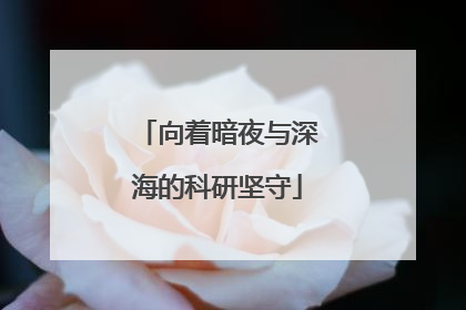 向着暗夜与深海的科研坚守