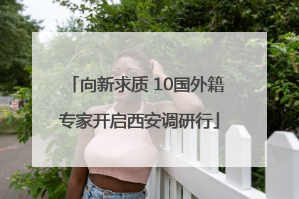 向新求质 10国外籍专家开启西安调研行