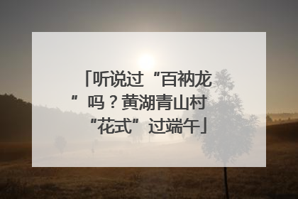 听说过“百衲龙”吗？黄湖青山村“花式”过端午