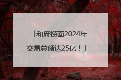 和府捞面2024年交易总额达25亿！