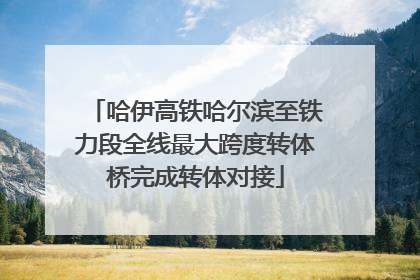 哈伊高铁哈尔滨至铁力段全线最大跨度转体桥完成转体对接