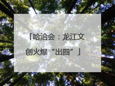 哈洽会：龙江文创火爆“出圈”