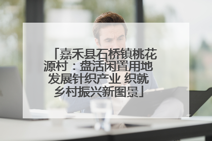 嘉禾县石桥镇桃花源村：盘活闲置用地发展针织产业 织就乡村振兴新图景