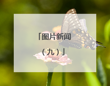 图片新闻（九）