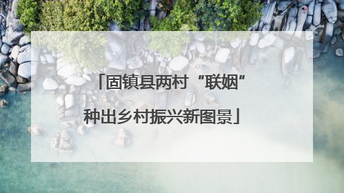 固镇县两村“联姻”种出乡村振兴新图景