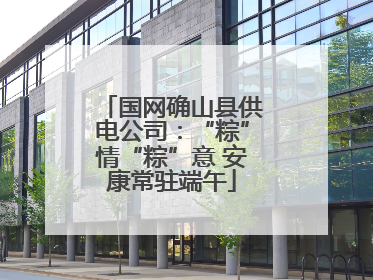 国网确山县供电公司：“粽”情“粽”意 安康常驻端午