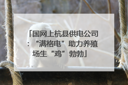 国网上杭县供电公司：“满格电”助力养殖场生“鸡”勃勃