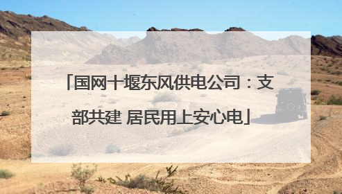 国网十堰东风供电公司：支部共建 居民用上安心电