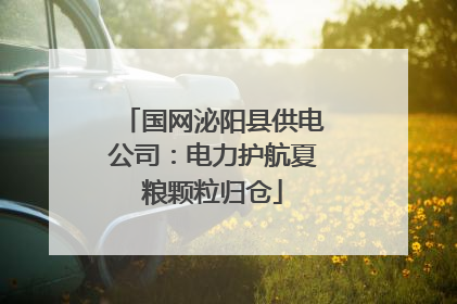国网泌阳县供电公司：电力护航夏粮颗粒归仓