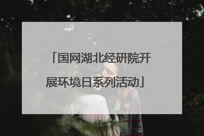 国网湖北经研院开展环境日系列活动