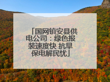 国网镇安县供电公司：绿色报装速度快 抗旱保电解民忧