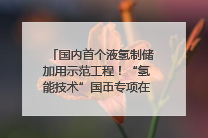 国内首个液氢制储加用示范工程！“氢能技术”国重专项在四川南充启动｜打赢经济发展翻身仗