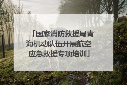 国家消防救援局青海机动队伍开展航空应急救援专项培训