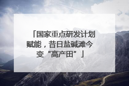 国家重点研发计划赋能，昔日盐碱滩今变“高产田”