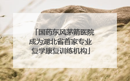 国药东风茅箭医院成为湖北省首家专业复学康复训练机构