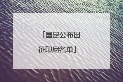 国足公布出征印尼名单