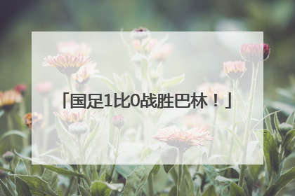 国足1比0战胜巴林！