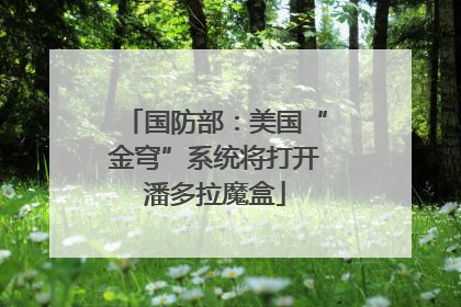 国防部：美国“金穹”系统将打开潘多拉魔盒