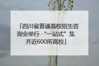 四川省普通高校招生咨询会举行 “一站式”集齐近600所高校