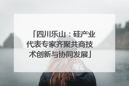 四川乐山：硅产业代表专家齐聚共商技术创新与协同发展