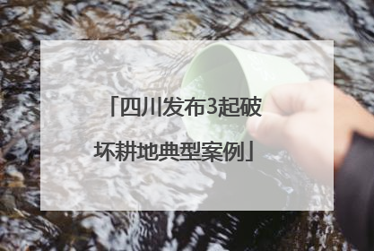 四川发布3起破坏耕地典型案例