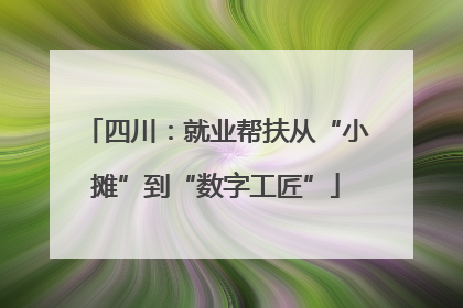 四川：就业帮扶从“小摊”到“数字工匠”