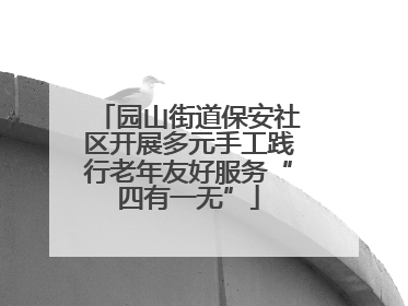 园山街道保安社区开展多元手工践行老年友好服务“四有一无”