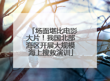 场面堪比电影大片！我国北部海区开展大规模海上搜救演训