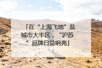 在“上海飞地”盐城市大丰区，“沪苏”品牌日益响亮