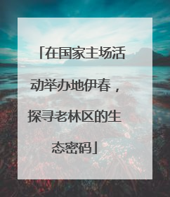 在国家主场活动举办地伊春，探寻老林区的生态密码