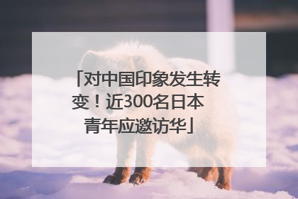 对中国印象发生转变！近300名日本青年应邀访华