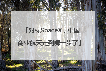 对标SpaceX，中国商业航天走到哪一步了